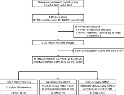 Intraoperative EMG recovery patterns and outcomes after RLN traction-related amplitude decrease during monitored thyroidectomy